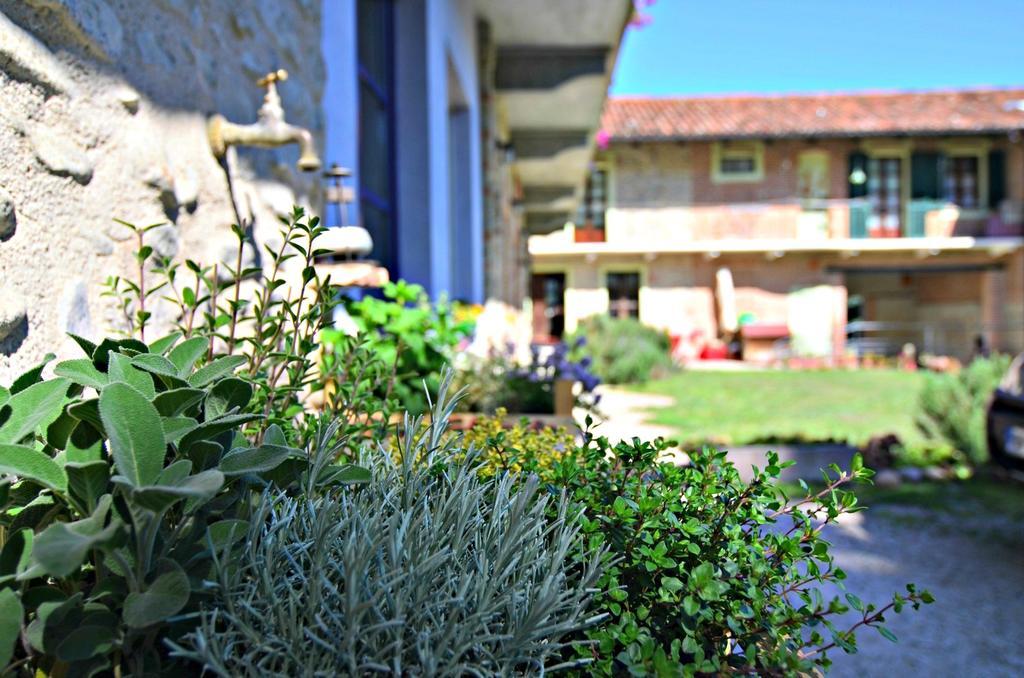 Cascina Il Convivio Guest House Diano d'Alba Ngoại thất bức ảnh